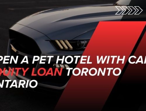 Open a Pet Hotel with Car Equity Loan Toronto Ontario